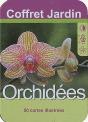 Orchidees - Preview