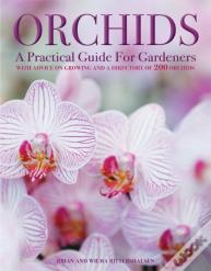 Orchids