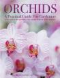Orchids - Preview