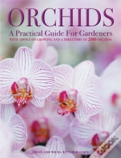 Capa do artigo Orchids