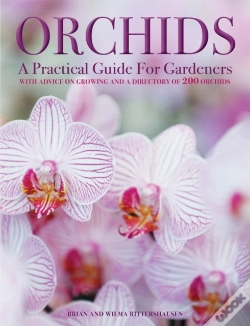 Capa do artigo Orchids