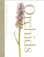 Orchids - Preview