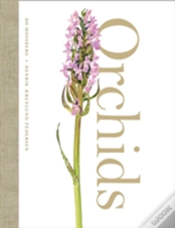 Capa do artigo Orchids