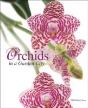 Orchids In A Garden City - Preview