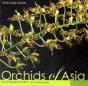 Orchids Of Asia - Preview