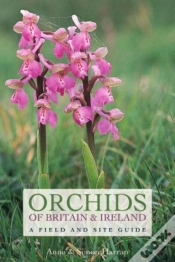 Capa do artigo Orchids Of Britain And Ireland