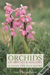 Capa do artigo Orchids Of Britain And Ireland