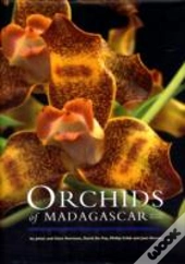 Orchids Of Madagascar