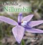 Orchids Of Nillumbik - Preview