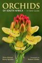 Orchids Of South Africa - Preview