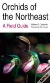 Capa do artigo Orchids Of The Northeast