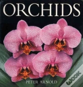 Orchids