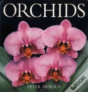 Capa do artigo Orchids