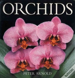 Capa do artigo Orchids
