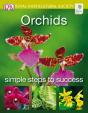 Orchids - Preview
