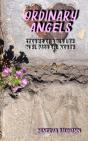 Ordinary Angels - Preview