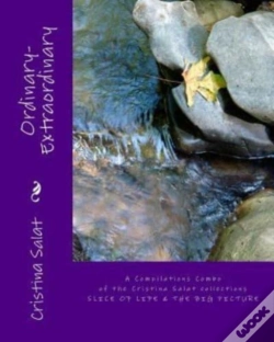 Capa do artigo Ordinary-Extraordinary: A Compilations C