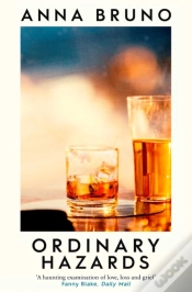 Capa do artigo Ordinary Hazards