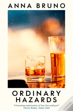 Capa do artigo Ordinary Hazards