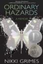 Ordinary Hazards - Preview