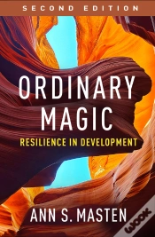 Capa do artigo Ordinary Magic