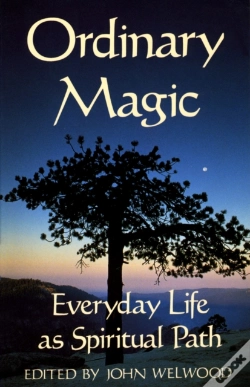 Capa do artigo Ordinary Magic