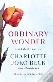 Capa do artigo Ordinary Wonder