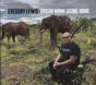 Organ Monk Going Home - CD - Preview