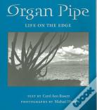 Organ Pipe