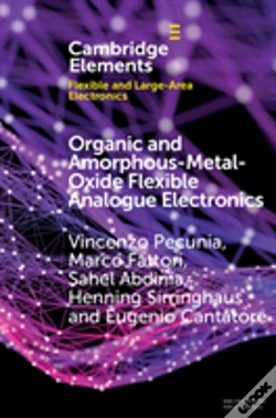 Capa do artigo Organic And Amorphous-Metal-Oxide Flexible Analogue Electronics