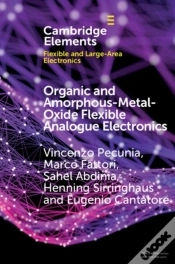 Capa do artigo Organic And Amorphous-Metal-Oxide Flexible Analogue Electronics