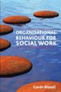 Organisational Behaviour For Social Work - Preview