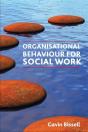 Organisational Behaviour For Social Work - Preview