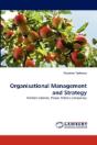 Organisational Management And Strategy - Preview