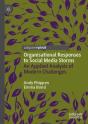 Organisational Responses To Social Media Storms - Preview