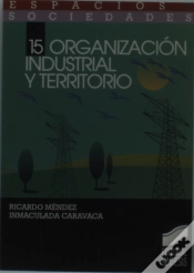 Capa do artigo Organización Industrial Y Territorio