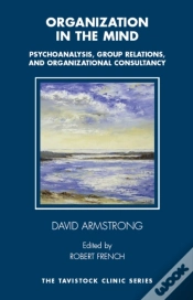 Capa do artigo Organization In The Mind