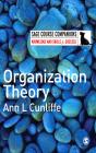 Organization Theory - Preview