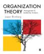 Organization Theory - Preview