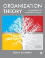 Organization Theory - Preview