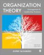 Organization Theory - Preview