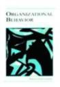 Organizational Behavior - Preview