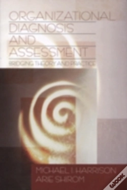 Capa do artigo Organizational Diagnosis And Assessment