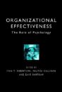 Organizational Effectiveness - Preview