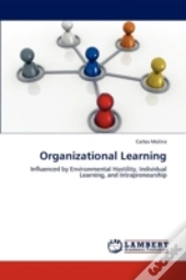 Organizational Learning