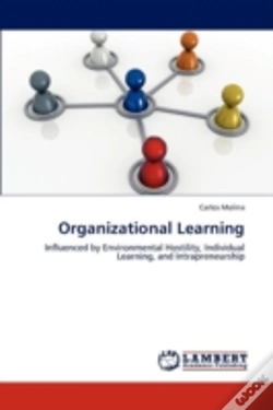 Capa do artigo Organizational Learning