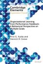Organizational Learning From Performance Feedback: A Behavioral Perspective On Multiple Goals - Preview
