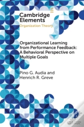 Organizational Learning From Performance Feedback: A Behavioral Perspective On Multiple Goals
