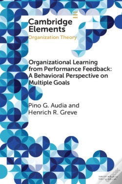 Capa do artigo Organizational Learning From Performance Feedback: A Behavioral Perspective On Multiple Goals