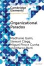Organizational Paradox - Preview